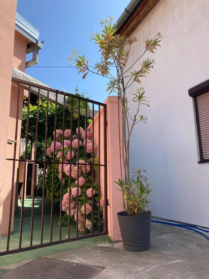 Apartment Dunja Center Welcome 诺威萨 外观 照片